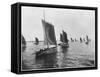 Sardine Boats of Concarneau (Photo)-French Photographer-Framed Stretched Canvas