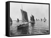 Sardine Boats of Concarneau (Photo)-French Photographer-Framed Stretched Canvas