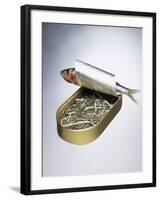 Sardine Can Inversion, 1997-Norman Hollands-Framed Photographic Print