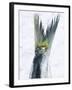 Sardine Tail Fin-Jürgen Holz-Framed Photographic Print