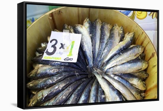 Sardines in Mercado Central (Central Market), Valencia, Spain, Europe-Neil Farrin-Framed Stretched Canvas