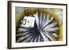 Sardines in Mercado Central (Central Market), Valencia, Spain, Europe-Neil Farrin-Framed Photographic Print