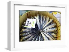 Sardines in Mercado Central (Central Market), Valencia, Spain, Europe-Neil Farrin-Framed Photographic Print