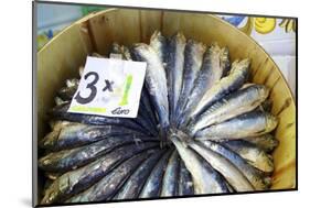 Sardines in Mercado Central (Central Market), Valencia, Spain, Europe-Neil Farrin-Mounted Photographic Print
