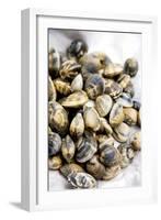 Sardinian Cockles-Veronique Leplat-Framed Photographic Print