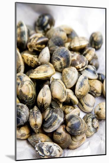 Sardinian Cockles-Veronique Leplat-Mounted Photographic Print