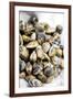 Sardinian Cockles-Veronique Leplat-Framed Photographic Print