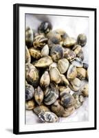 Sardinian Cockles-Veronique Leplat-Framed Photographic Print