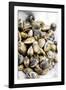 Sardinian Cockles-Veronique Leplat-Framed Photographic Print