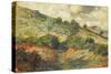 Sardinian Landscape, 1900-1910-Guglielmo Micheli-Stretched Canvas