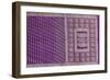 Sari baluchar butidar-null-Framed Giclee Print