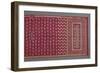 Sari baluchar butidar-null-Framed Giclee Print