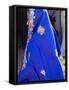 Sari Woman, New Delhi, India-Bill Bachmann-Framed Stretched Canvas