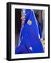 Sari Woman, New Delhi, India-Bill Bachmann-Framed Photographic Print