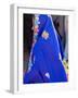 Sari Woman, New Delhi, India-Bill Bachmann-Framed Photographic Print