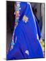 Sari Woman, New Delhi, India-Bill Bachmann-Mounted Photographic Print