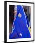 Sari Woman, New Delhi, India-Bill Bachmann-Framed Photographic Print