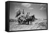 Sark, Channel Islands July 1947-Staff-Framed Stretched Canvas