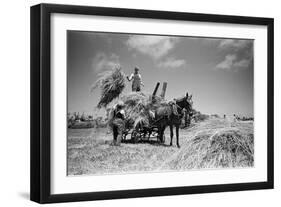 Sark, Channel Islands July 1947-Staff-Framed Photographic Print