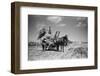 Sark, Channel Islands July 1947-Staff-Framed Photographic Print