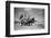Sark, Channel Islands July 1947-Staff-Framed Photographic Print