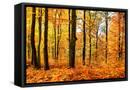 Framed Canvas