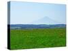 Sarobetsu Meadow-null-Stretched Canvas