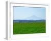 Sarobetsu Meadow-null-Framed Photographic Print