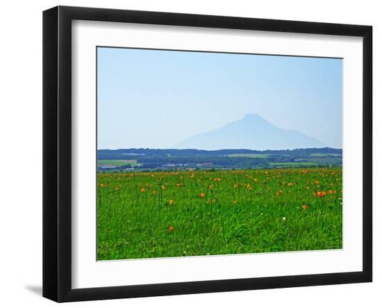 Photographic Print, , large