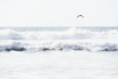 Sea Waves with Flying Seagull-Sarosa-Photographic Print