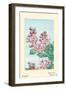 Sarusubi Monkey Slip-Megata Morikaga-Framed Art Print