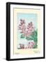 Sarusubi Monkey Slip-Megata Morikaga-Framed Art Print