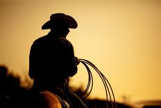 Cowboy with Lasso Silhouette at Small-Town Rodeo. Buyers Note: Image Contains Added Grain to Enhanc-Sascha Burkard-Photographic Print
