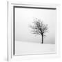 Gramercy White