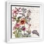 White Frame