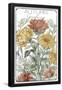 Essential Black