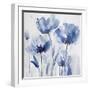 White Frame