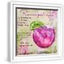 White Frame