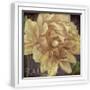 White Frame