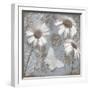 White Frame