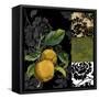 Canvas Black