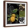Brown Frame