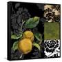 Canvas Black