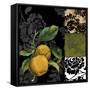 Canvas Black