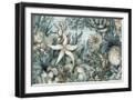 Black Frame