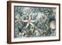 Brown Frame