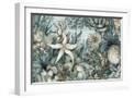 White Frame
