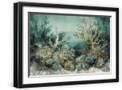 Black Frame