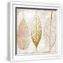 White Frame