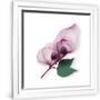 Gramercy White